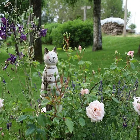 Haus Tannenhof Pensión 3*