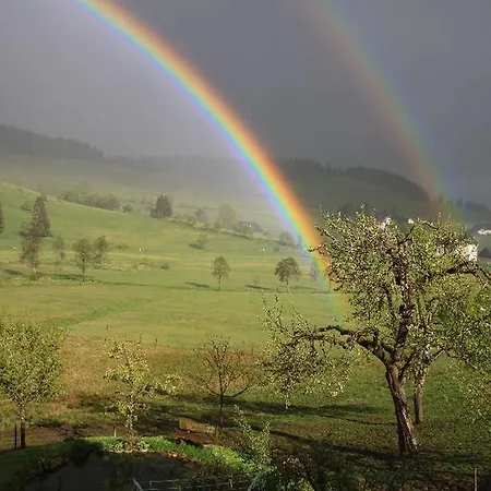 Haus Tannenhof 3* Ibach