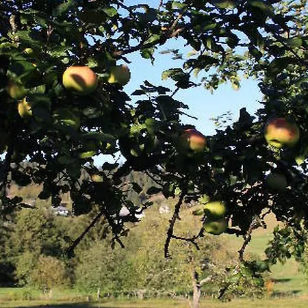 Pensión Haus Tannenhof