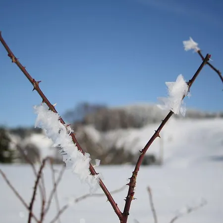 Pensión Haus Tannenhof 3*