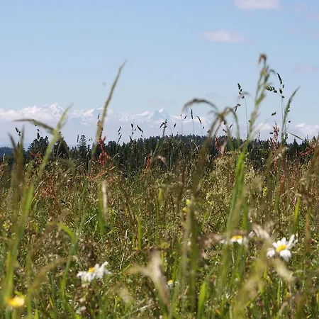 Haus Tannenhof Pensión