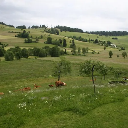 Pensión Haus Tannenhof 3*