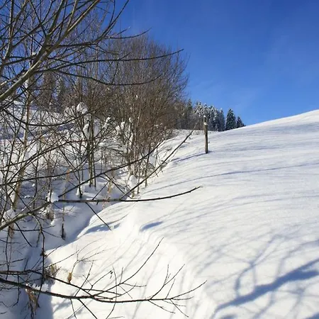 Haus Tannenhof Ibach