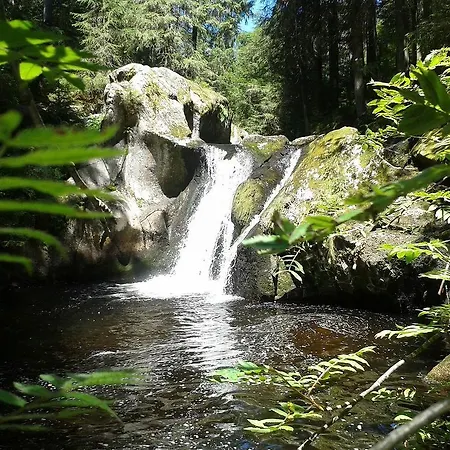 Haus Tannenhof Pensión 3*