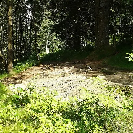 Pensión Haus Tannenhof Ibach