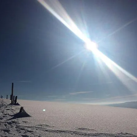 Haus Tannenhof Pensión Ibach